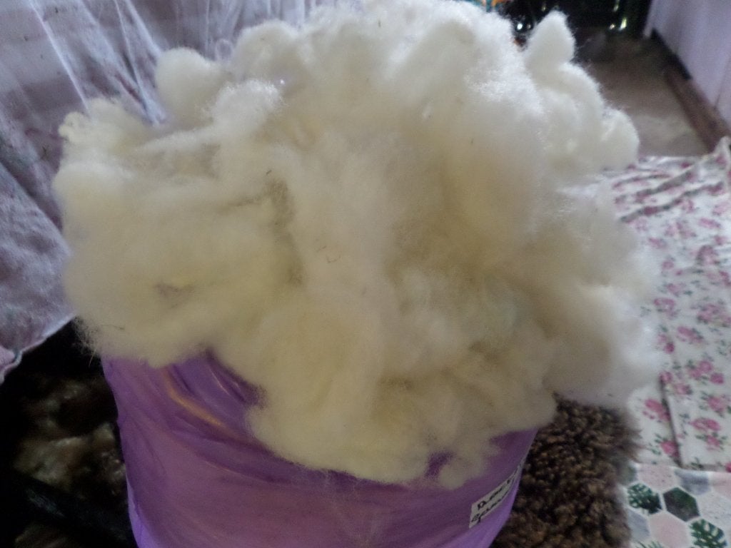 Gewassen zachte kaard/Vulwol  kleur/hooimadam popjes 500gr, Hobby en Vrije tijd, Spinnewielen en Spinnen, Ophalen of Verzenden