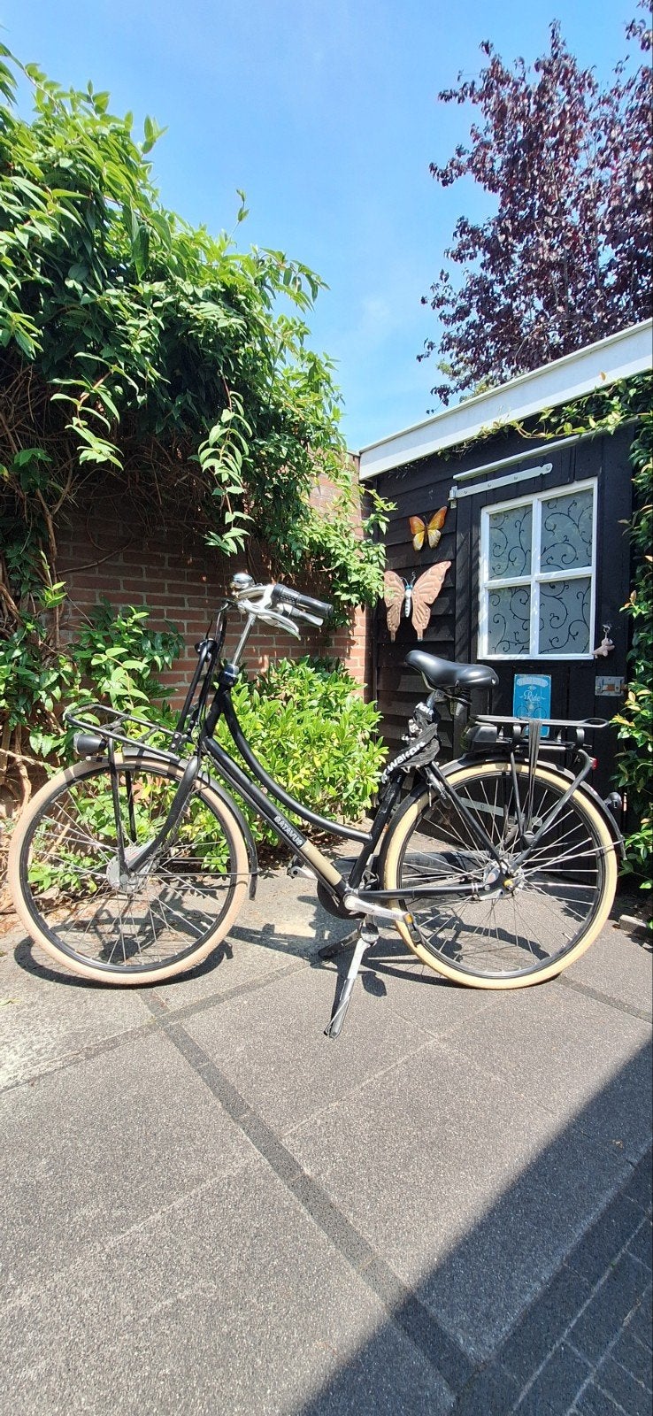 Batavus Damesfiets met voordrager en versnellingen, Ophalen, Velgrem, Versnellingen, Batavus