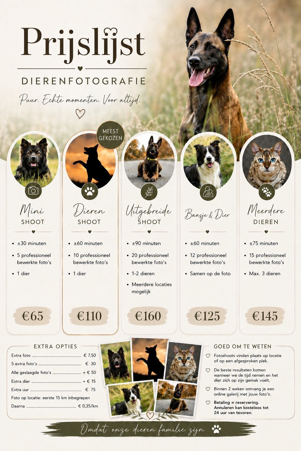 Dieren (honden) fotografie