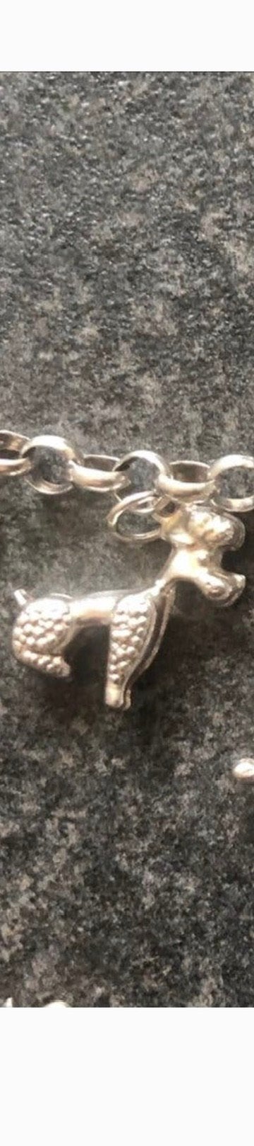 Zilveren bedel poedel koningspoedel voor armband ketting, Sieraden, Tassen en Uiterlijk, Overige merken, Ophalen of Verzenden