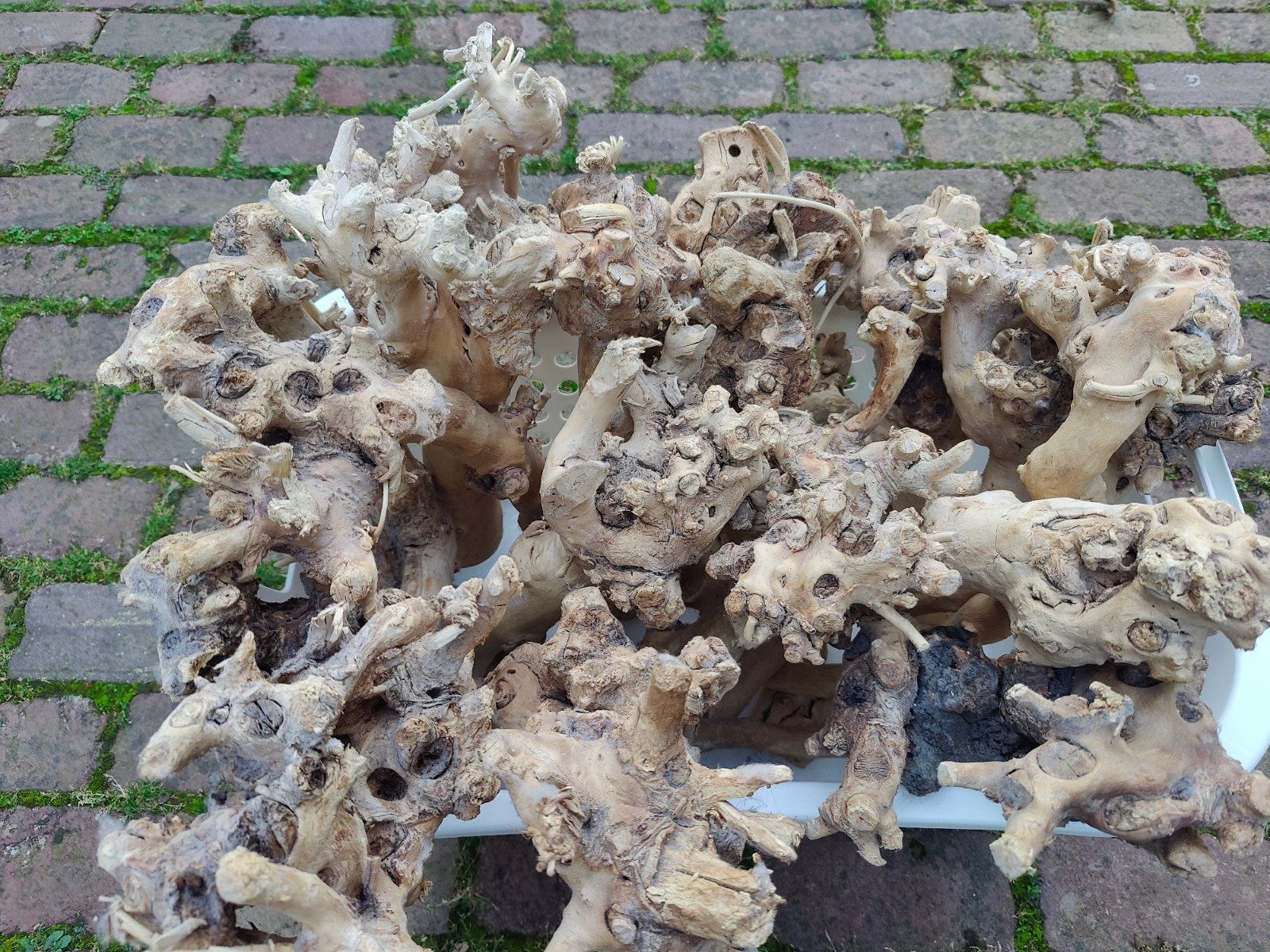 Partij decoratief wortel hout / oude druivenranken, Ophalen, Zo goed als nieuw, Hout