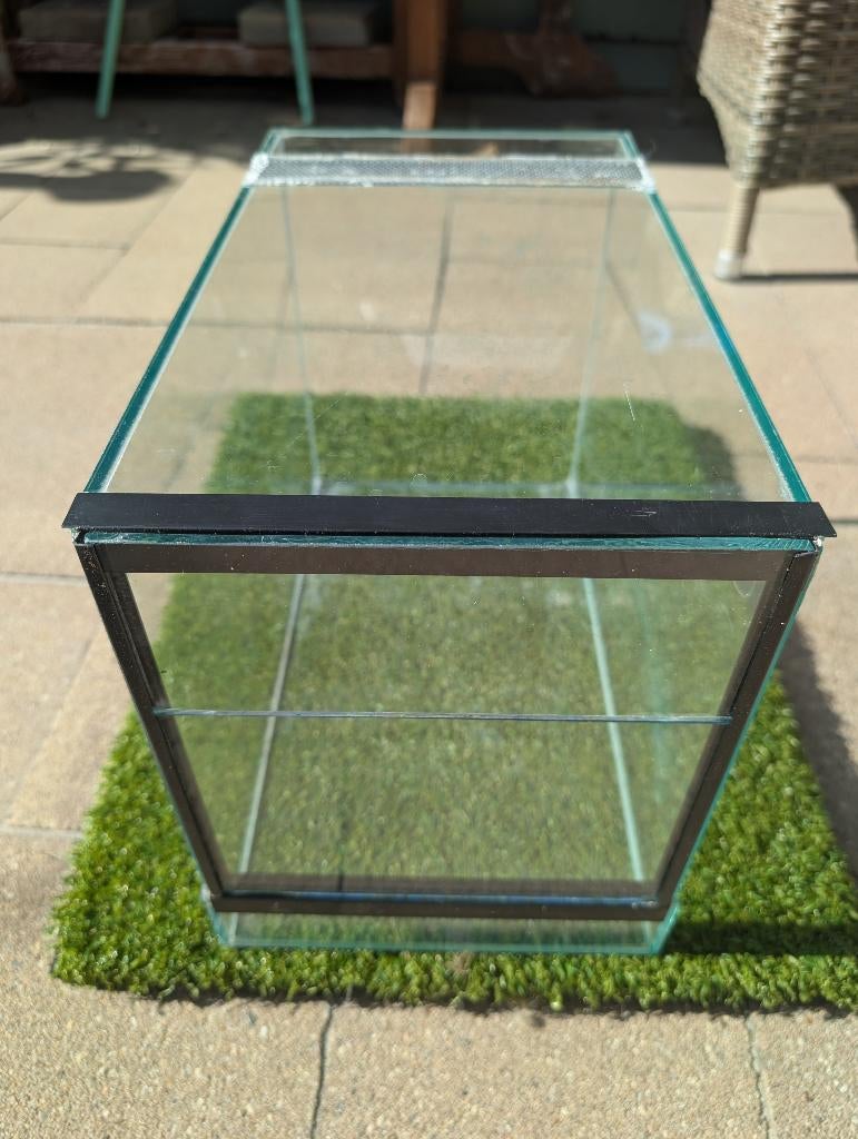 (insect) Terrarium, Dieren en Toebehoren, Spin of Schorpioen