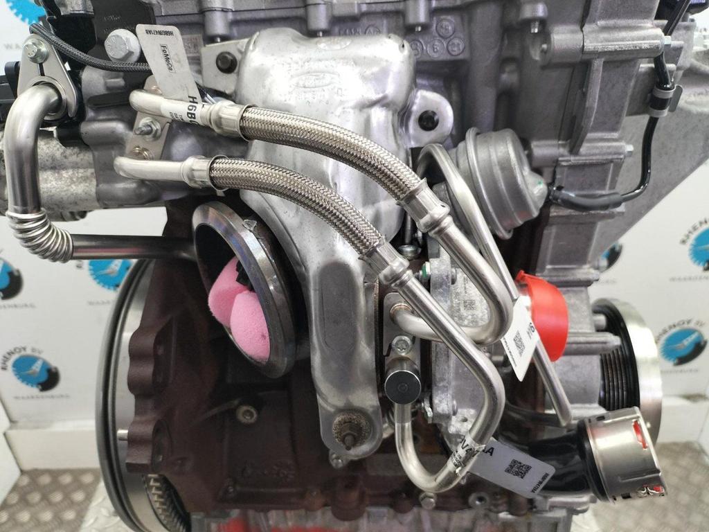 FORD PUMA TITANIUM TURBO 2021, Auto-onderdelen, Ophalen of Verzenden, Gebruikt, ARN erkend