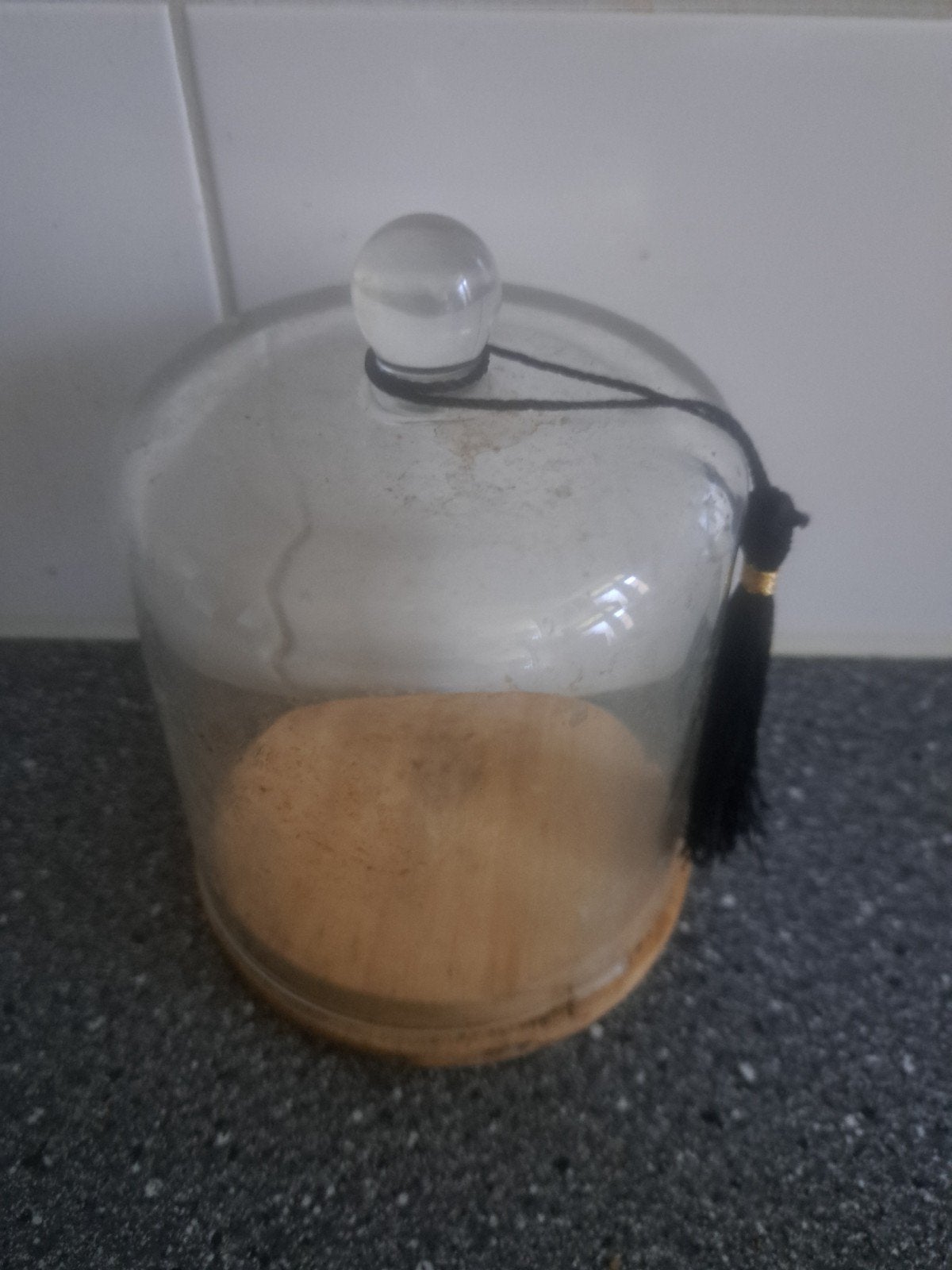 Glazen stolp met houten voet - Gebruikt, Glas, Ophalen, Gebruikt, Met voet