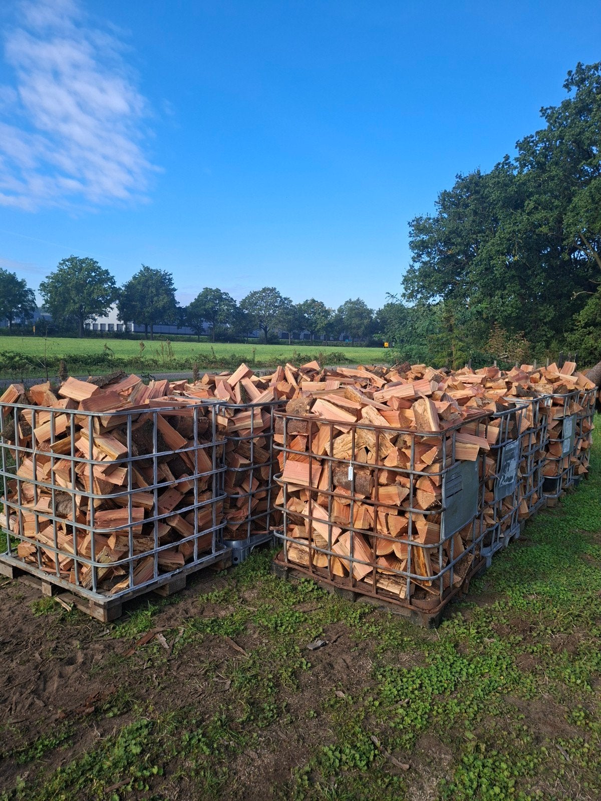 Gezaagd en gekloofd Douglas hout - Vers en ongedroogd, 6 m³ of meer, Ophalen, Overige houtsoorten, Blokken