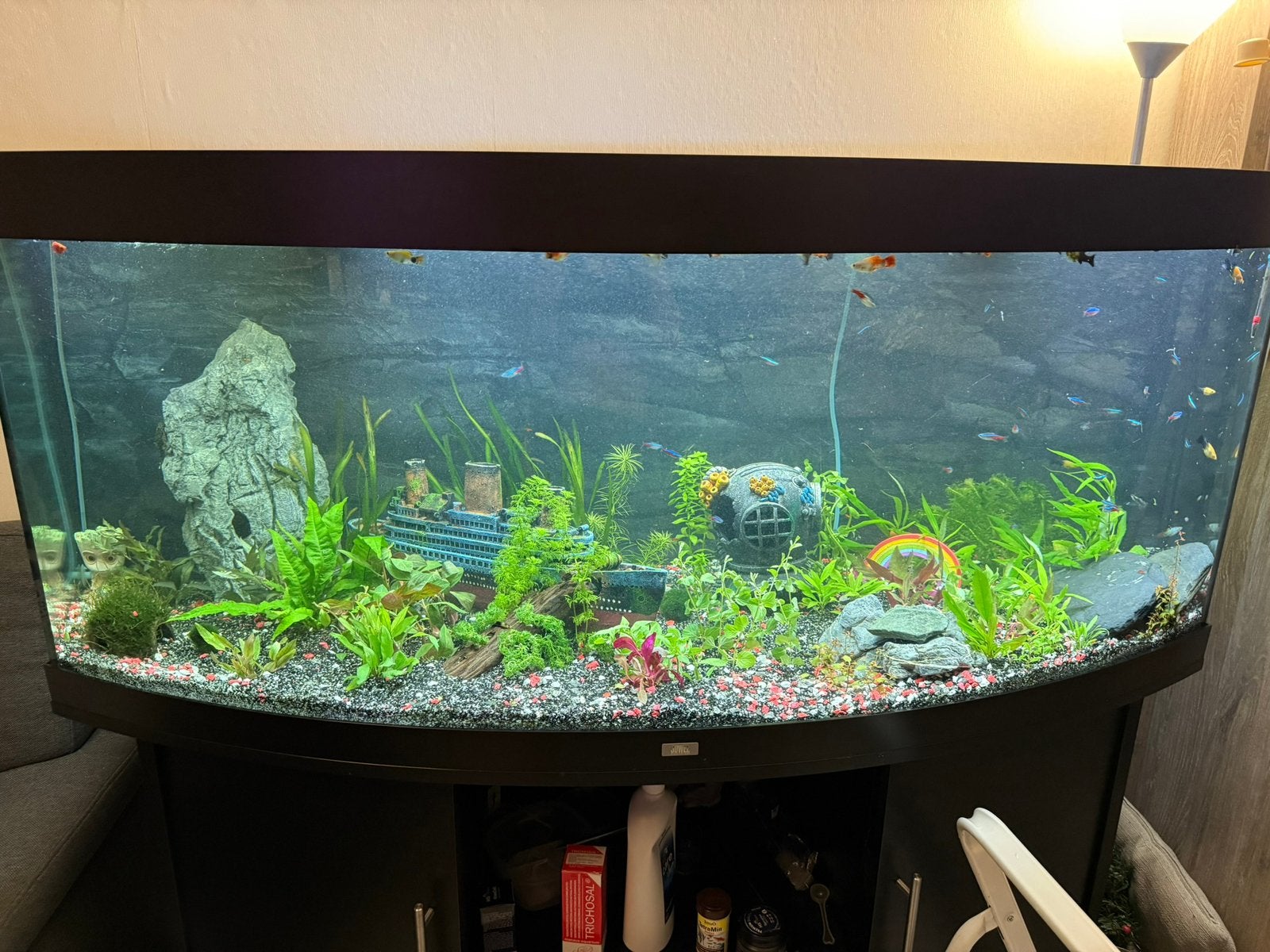 aquarium 450 liter, Ophalen, Gebruikt, Leeg aquarium, Juwel