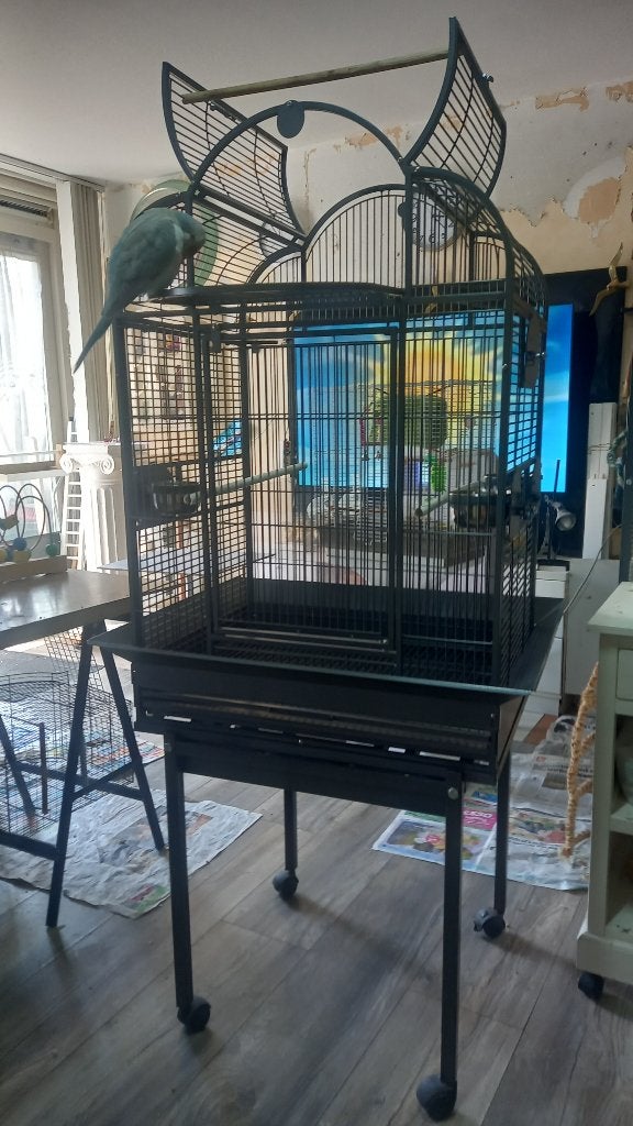 Muisparkieten Papegaaienkooi, Dieren en Toebehoren, Ophalen, Zo goed als nieuw, Metaal, Vogelkooi
