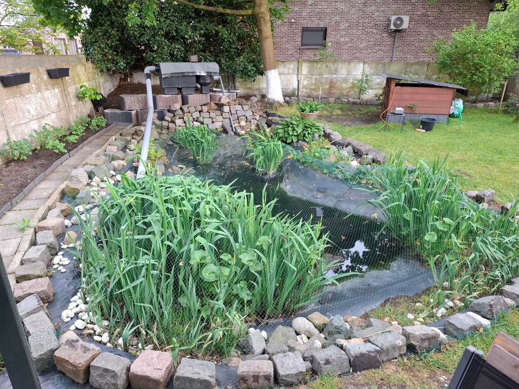 Gratis vijverstenen en keien, Tuin en Terras, Vijvers, Ophalen of Verzenden, Gebruikt
