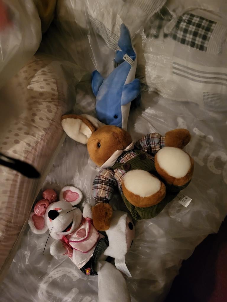 Grote collectie knuffels - diverse dieren en maten, Overige merken, Overige karakters, Overige typen, Ophalen of Verzenden