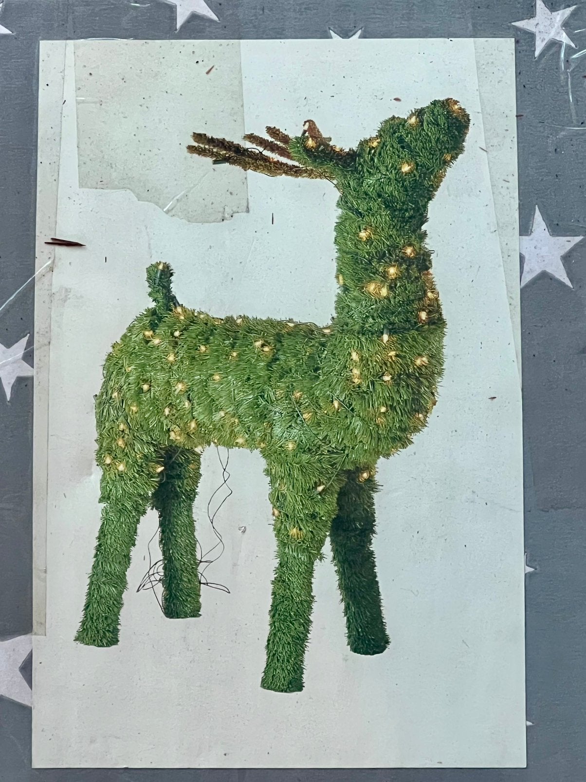 Rendier voor kerst, Diversen, Kerst, Ophalen of Verzenden, Nieuw
