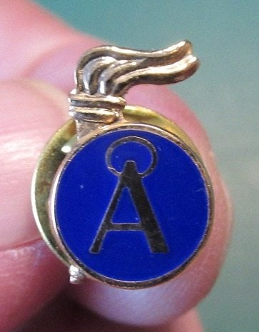 splinternieuw Zweeds militair speldje, Verzamelen, Ophalen of Verzenden, Landmacht, Overige gebieden, Embleem of Badge