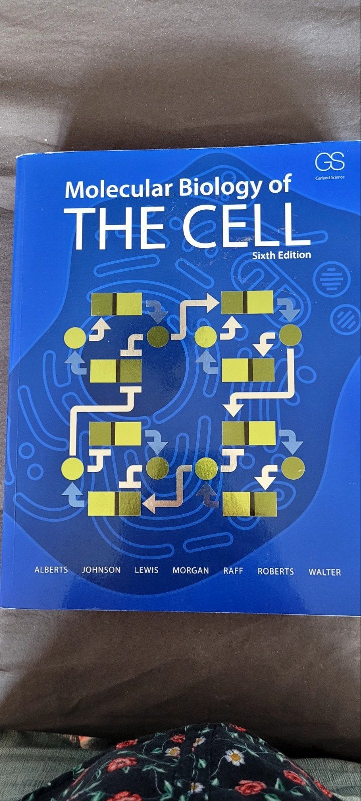 Molecular Biology of THE CELL - Zesde Editie, Boeken, Alberts, Johnson, Lewis, Morgan, Raff, Roberts, Walter, Verzenden, Nieuw