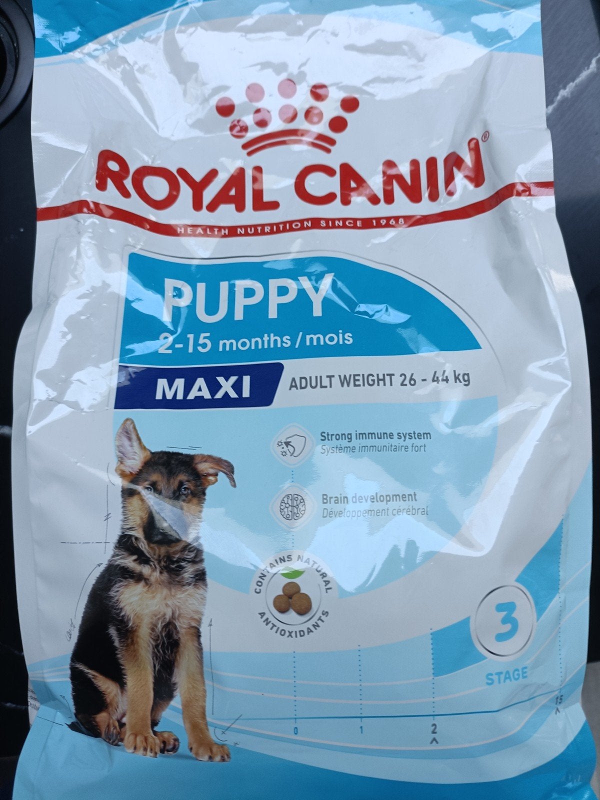 Hondenbrokken puppy, Ophalen, Hond