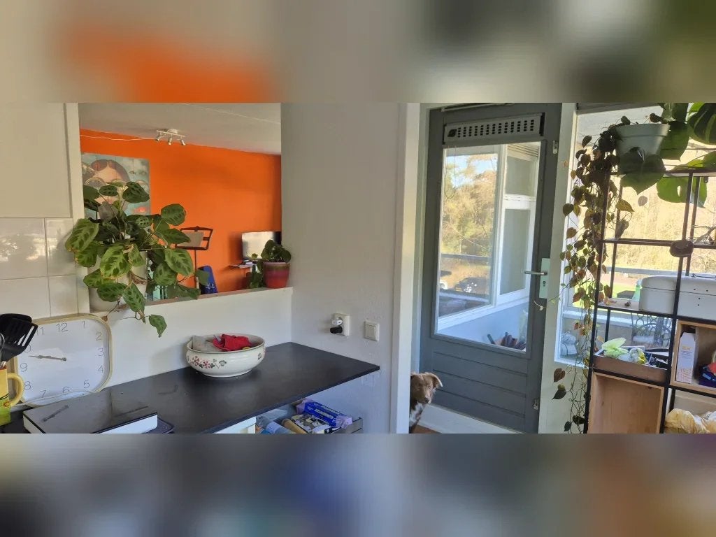 NIEUW! Woonruimte te huur Mendelssohnlaan, Arnhem