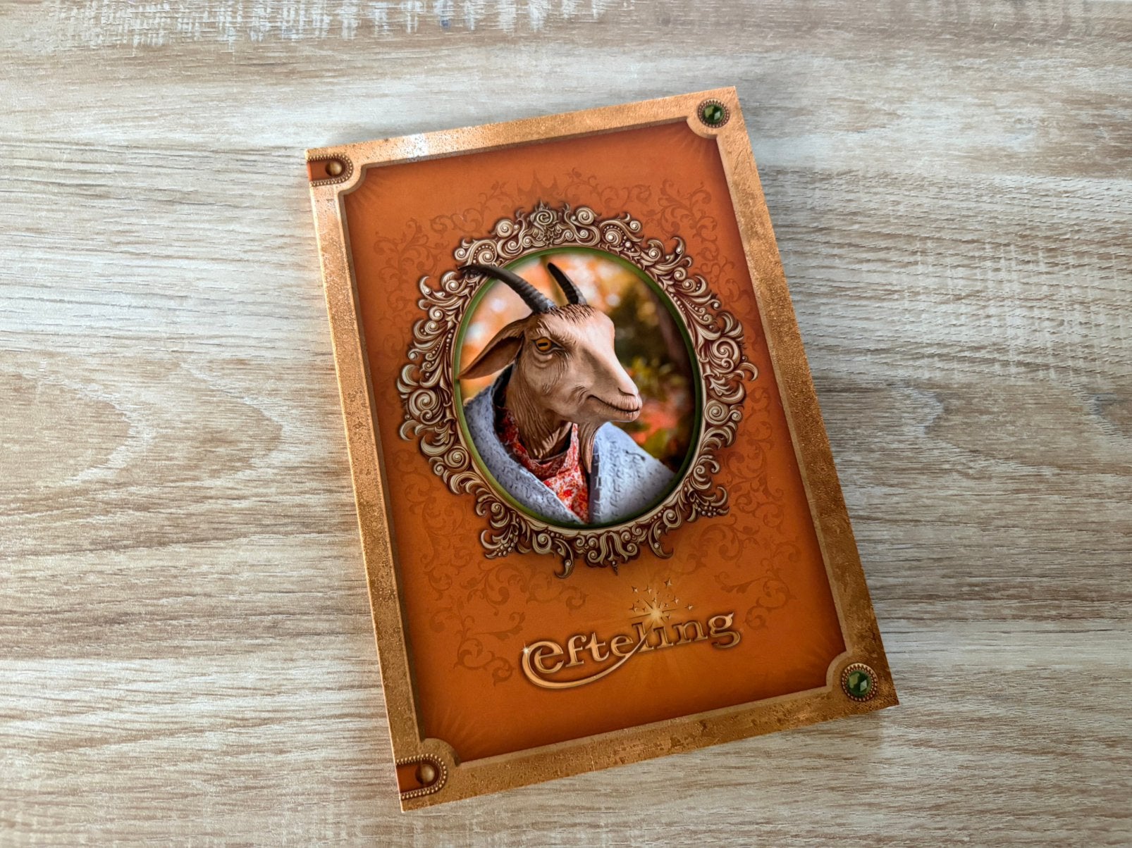 Efteling fotoboekje 2024, Ophalen of Verzenden, Nieuw, Overige typen