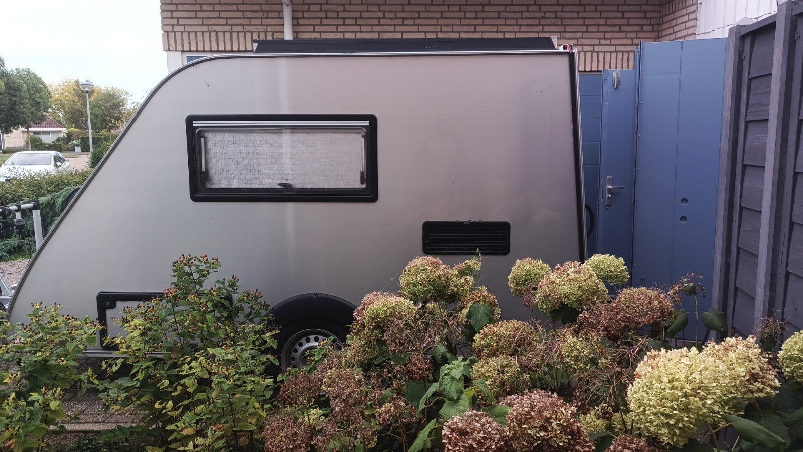 Te koop Kip Shelter 2018, Kip, Tot en met 2, Treinzit, 750 - 1000 kg