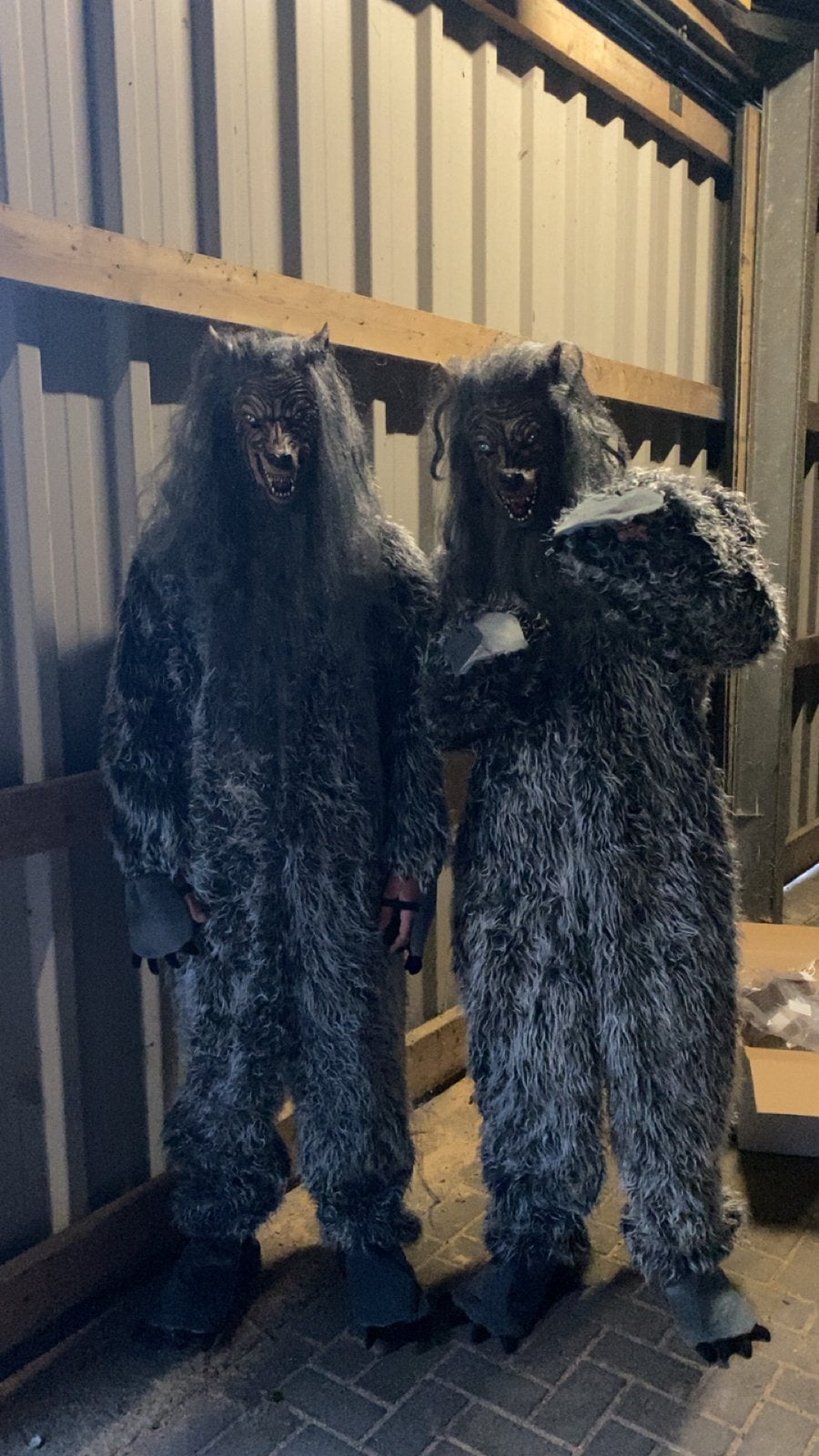 2 Nieuwe Wolven Pakken met Maskers, Verzenden, Zo goed als nieuw, Pak of Jurk