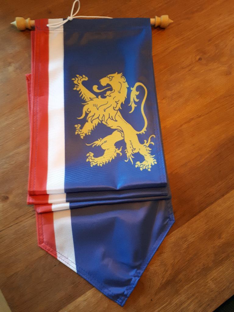 Gemeente of Leeuwarden stads wimpel of vlag, Ophalen of Verzenden, Nieuw