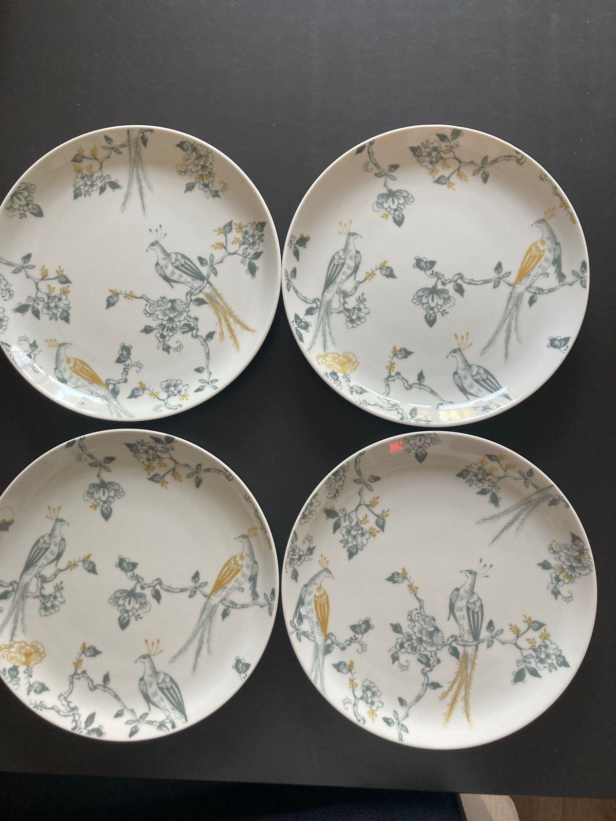 Villeroy & Boch Group borden en kommen van een AH spaaractie, Ophalen, Vivo, Zo goed als nieuw, Bord(en)