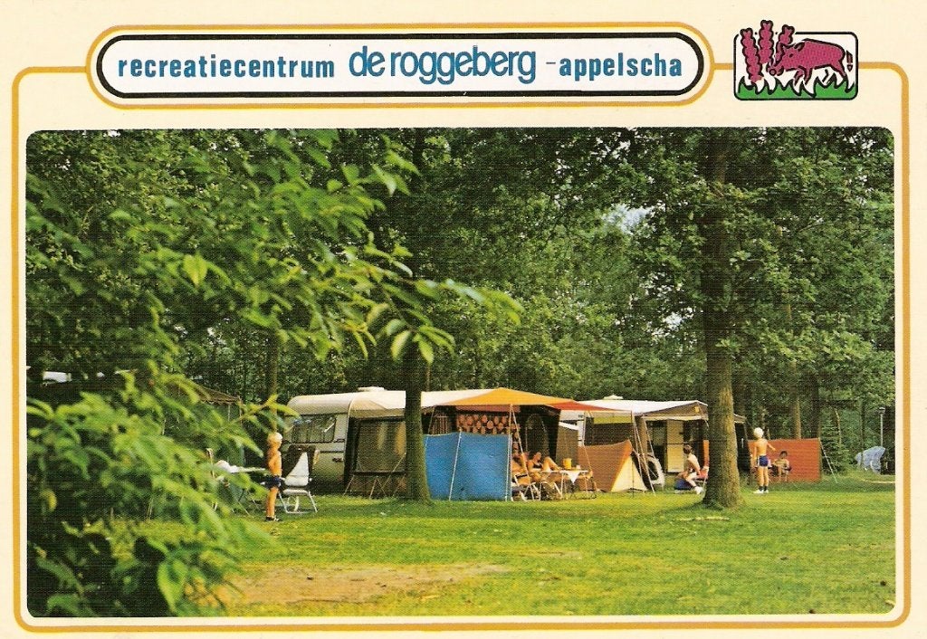Appelscha             544a, Verzamelen, Ophalen of Verzenden, Voor 1920