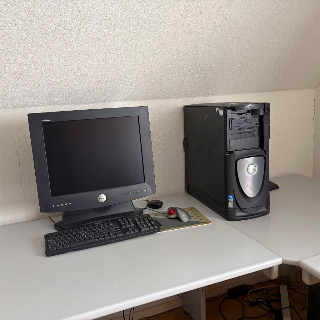 Dell computer met dubbele xeon processor uit 1999, Computers en Software, Desktop Pc's, Gebruikt, Onbekend, Minder dan 4 GB, Ophalen