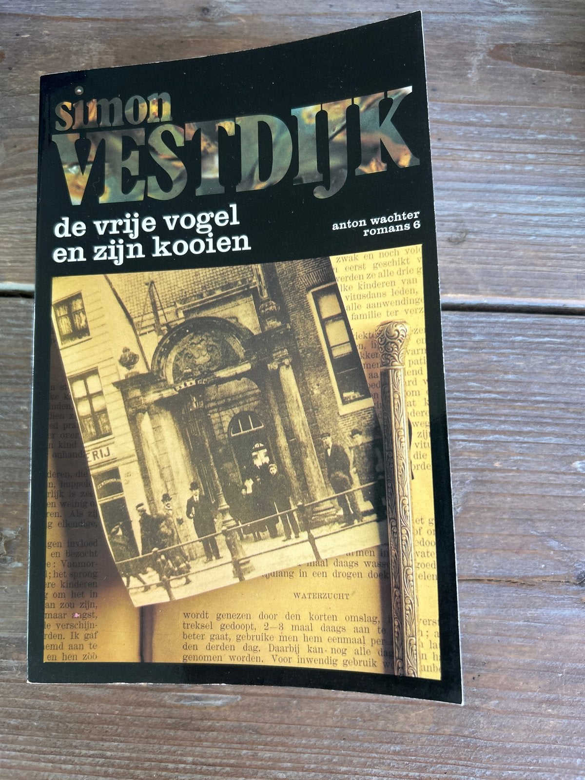 Simon Vestdijk - De vrije vogel en zijn koolen (Paperback), Boeken, Romans, Ophalen of Verzenden, Gelezen