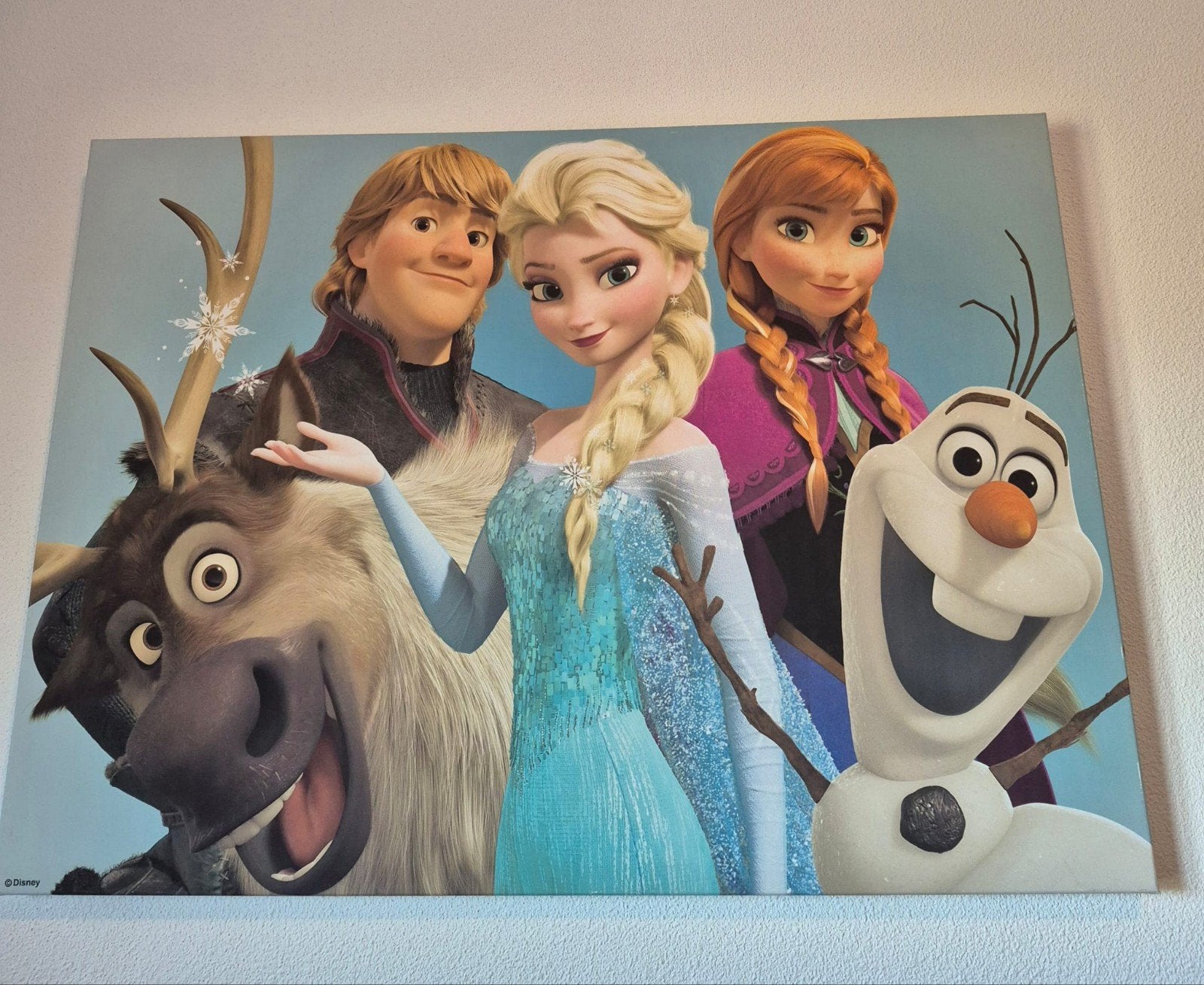 Erg mooi Frozen schilderij op canvas!, Ophalen, Zo goed als nieuw, 50 tot 75 cm, Schilderij