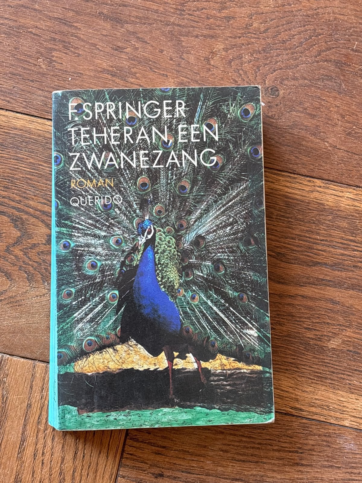 F. Springer - Teheran, een zwanenzang (Roman), Boeken, Ophalen of Verzenden, Gelezen, Nederland