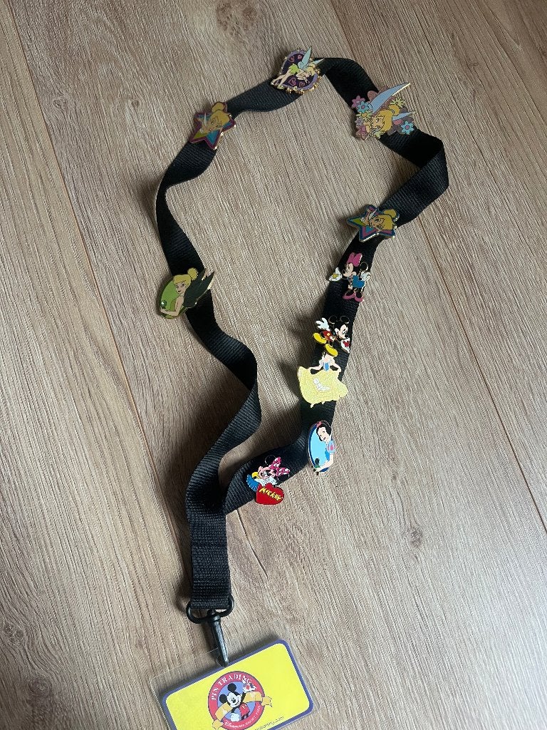 Disneyland Paris 2004 – vintage lanyard + 10 pins, Ophalen of Verzenden, Zo goed als nieuw, Figuurtje, Speldje of Pin