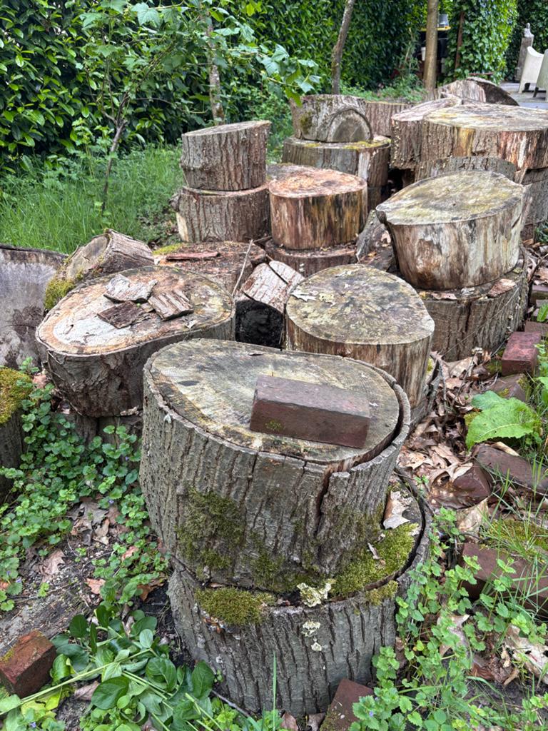 Diverse eiken houtblokken 3 kuub totaal 100,- euro per kuub, Tuin en Terras, Haardhout, 3 tot 6 m³, Ophalen, Eikenhout, Blokken