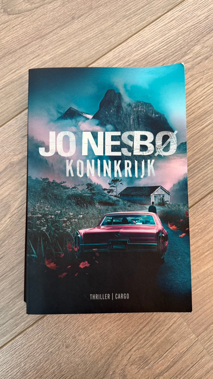 Jo Nesbo - Koninkrijk, Boeken, Thrillers, Ophalen of Verzenden, Zo goed als nieuw, Scandinavië