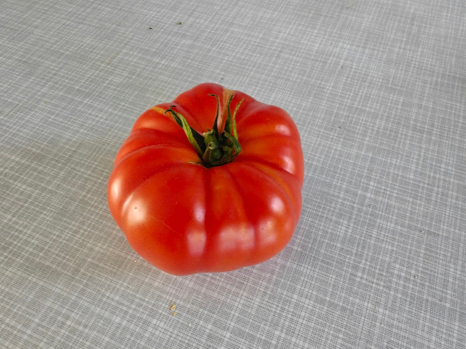 biologische tomaten, Ophalen, Volle zon