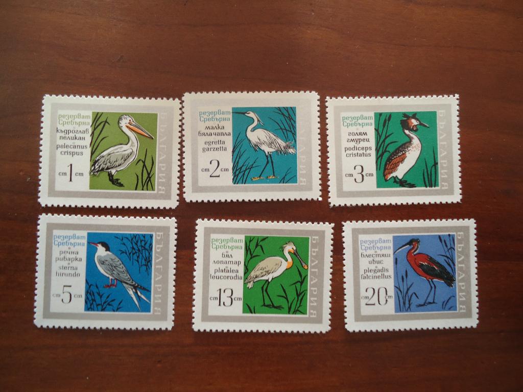 Vogels Bulgarije 1968, mi. 1836-41 postfris/ongebruikt, Ophalen of Verzenden, Postfris, Dier of Natuur