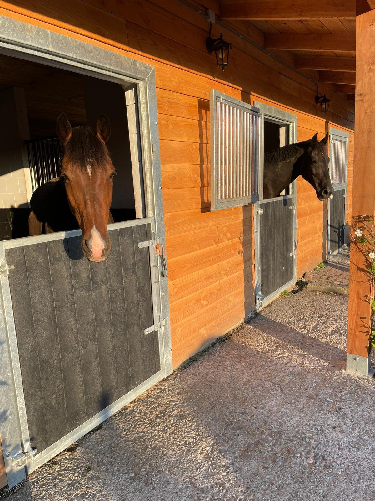 Vakantie adres voor jouw paard, Dieren en Toebehoren, Stalling en Weidegang, Stalling, 1 paard of pony