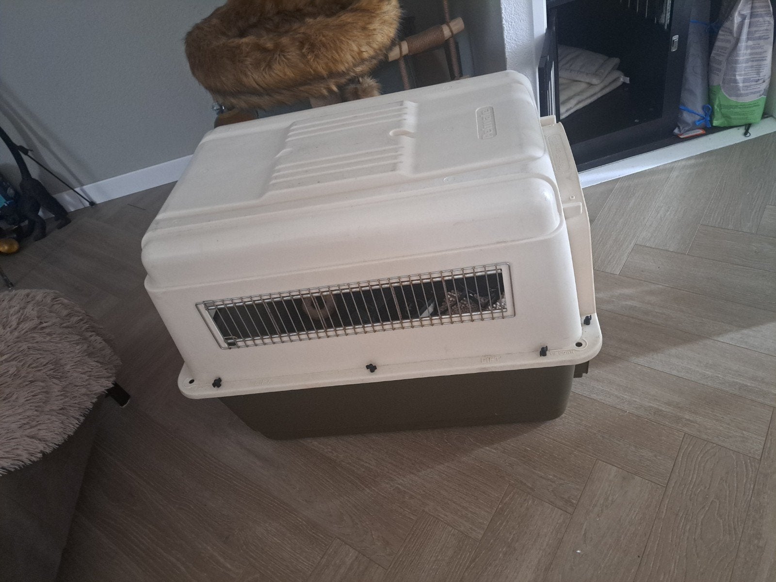 transport bench te koop, Dieren en Toebehoren, Ophalen