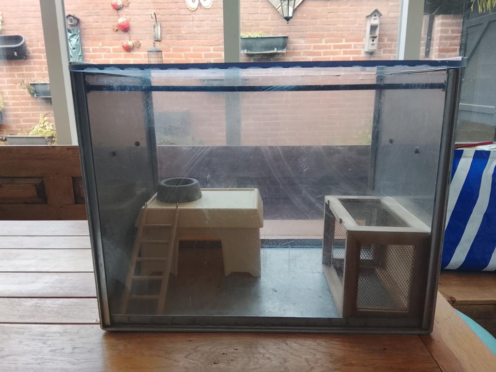 Kleine knaagdieren kooi, Kooi, Muis, Minder dan 75 cm, Zo goed als nieuw