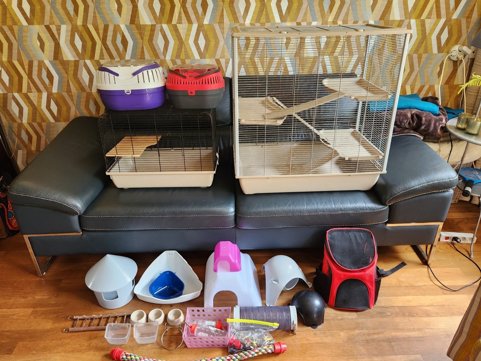 Ratten/knaagdier kooien + accesoires, Ophalen, Gebruikt, 60 tot 90 cm, Minder dan 75 cm