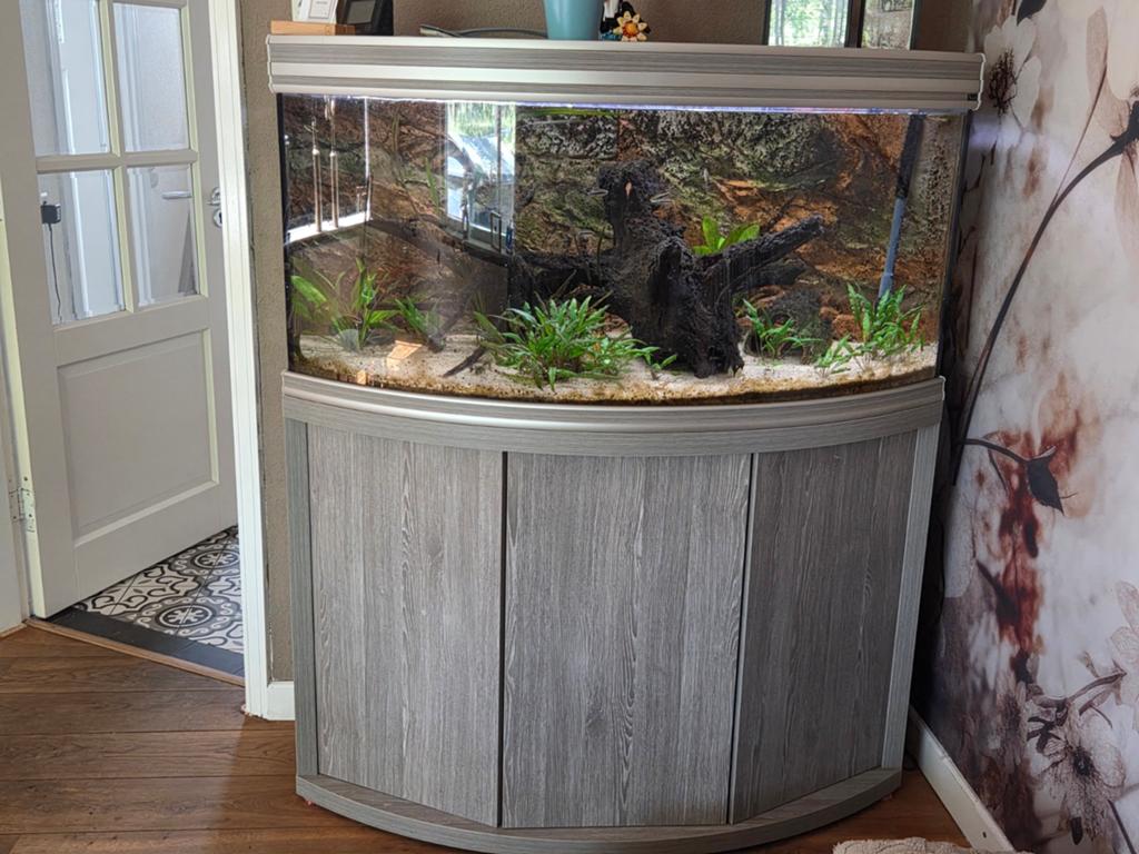 Aqualantis Aquarium, Ophalen, Zo goed als nieuw, Gevuld zoetwateraquarium