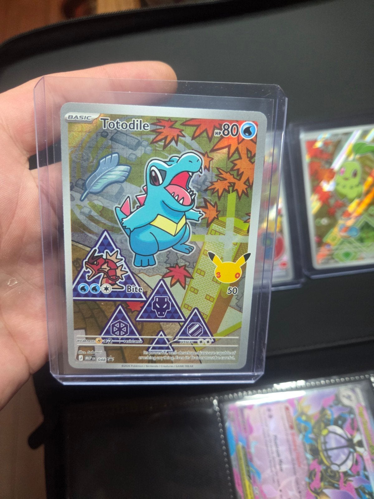 Cyndaquil, Chikorita en Totodile First Partner Series 2 Gen, Ophalen of Verzenden, Nieuw, Boosterbox, Foil