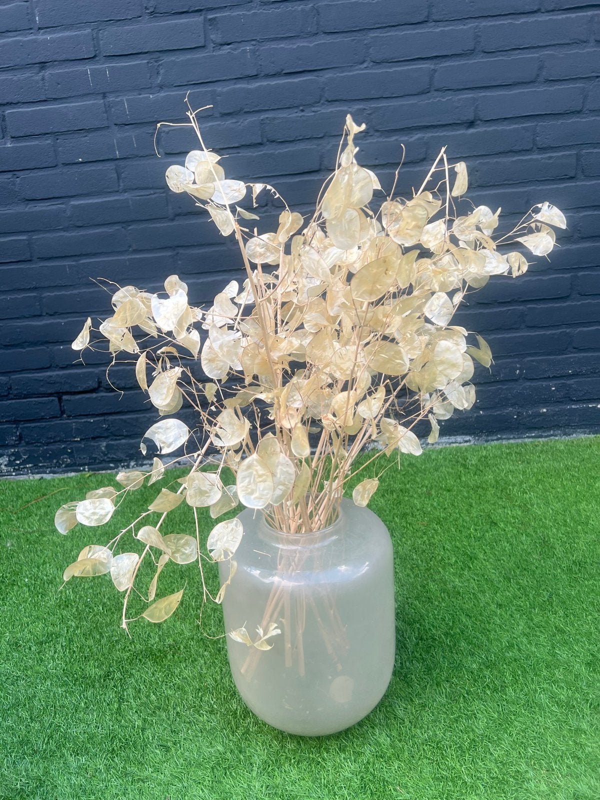 Grote glazen vaas met gedroogde judaspenning, Ophalen, Glas, Zo goed als nieuw, Geschikt voor droogbloemen