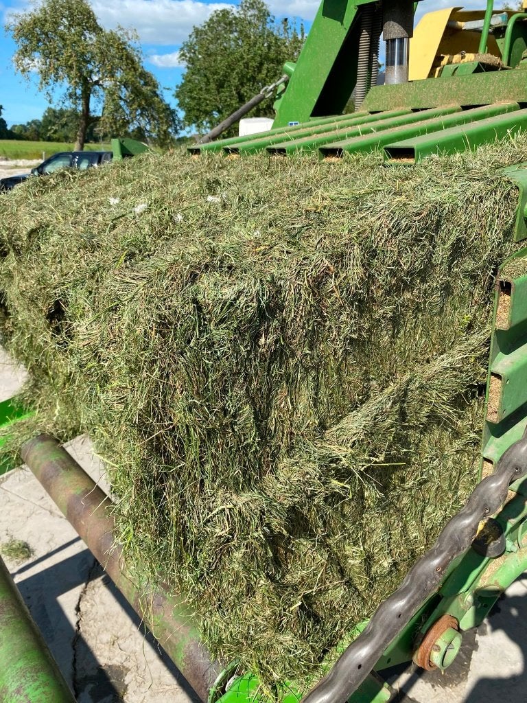 Voordroog kuilgras balen, Ophalen, Vee
