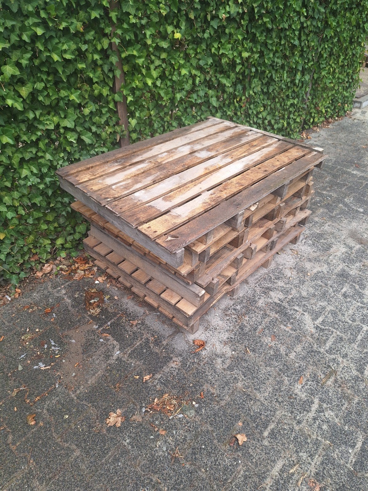 15 pallets ca 85x125cm, Doe-het-zelf en Verbouw, Hout en Planken, Ophalen of Verzenden, Overige houtsoorten, Minder dan 200 cm