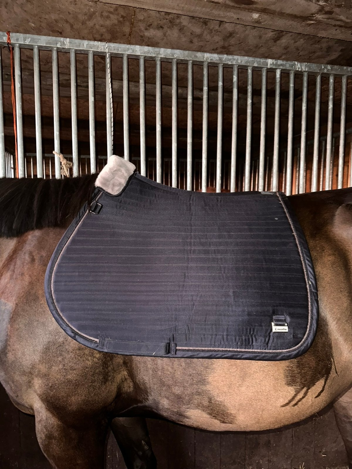Donkerblauw cavallo dekje, Full (L), Zadeldekje, Ophalen of Verzenden, Zo goed als nieuw