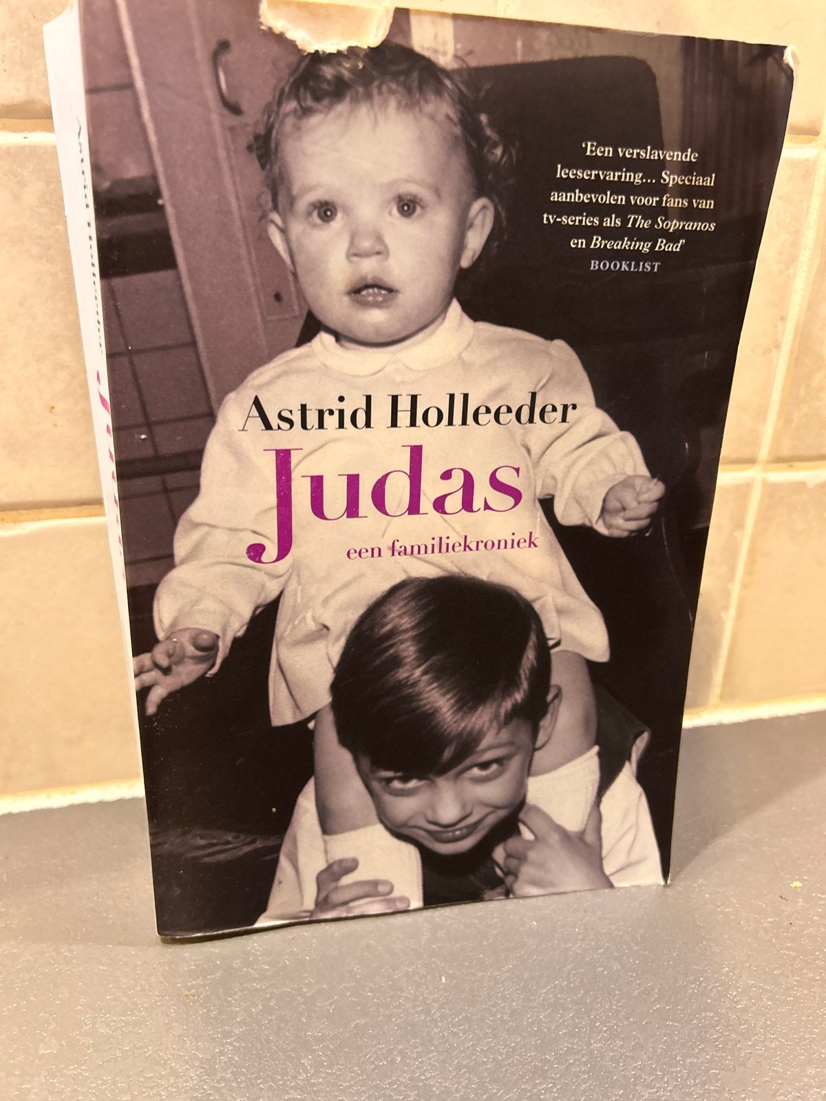 Judas - Astrid Holleeder: Een familiekroniek, Boeken, Ophalen of Verzenden, Gelezen, Overige