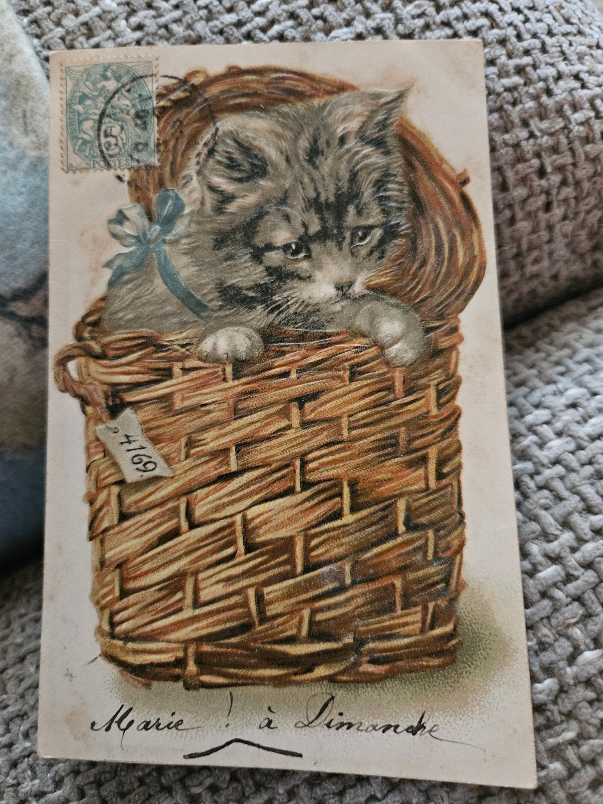 Katje in mand, 1907, Ophalen of Verzenden, Voor 1920, Gelopen