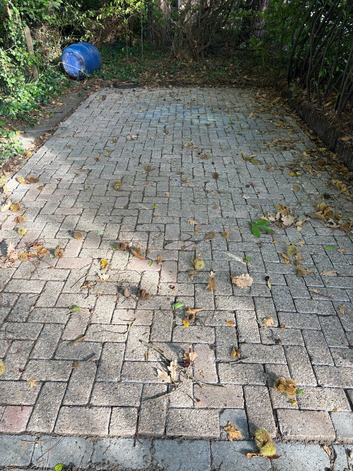 Gebruikte betonnen klinkers voor terras of oprit, Ophalen, Gebruikt, Klinkers, 10 m² of meer