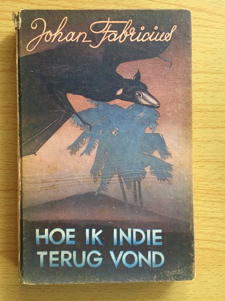 Johan Fabricius, Hoe ik Indië terug vond, Ophalen of Verzenden, Gelezen, Johan Fabricius