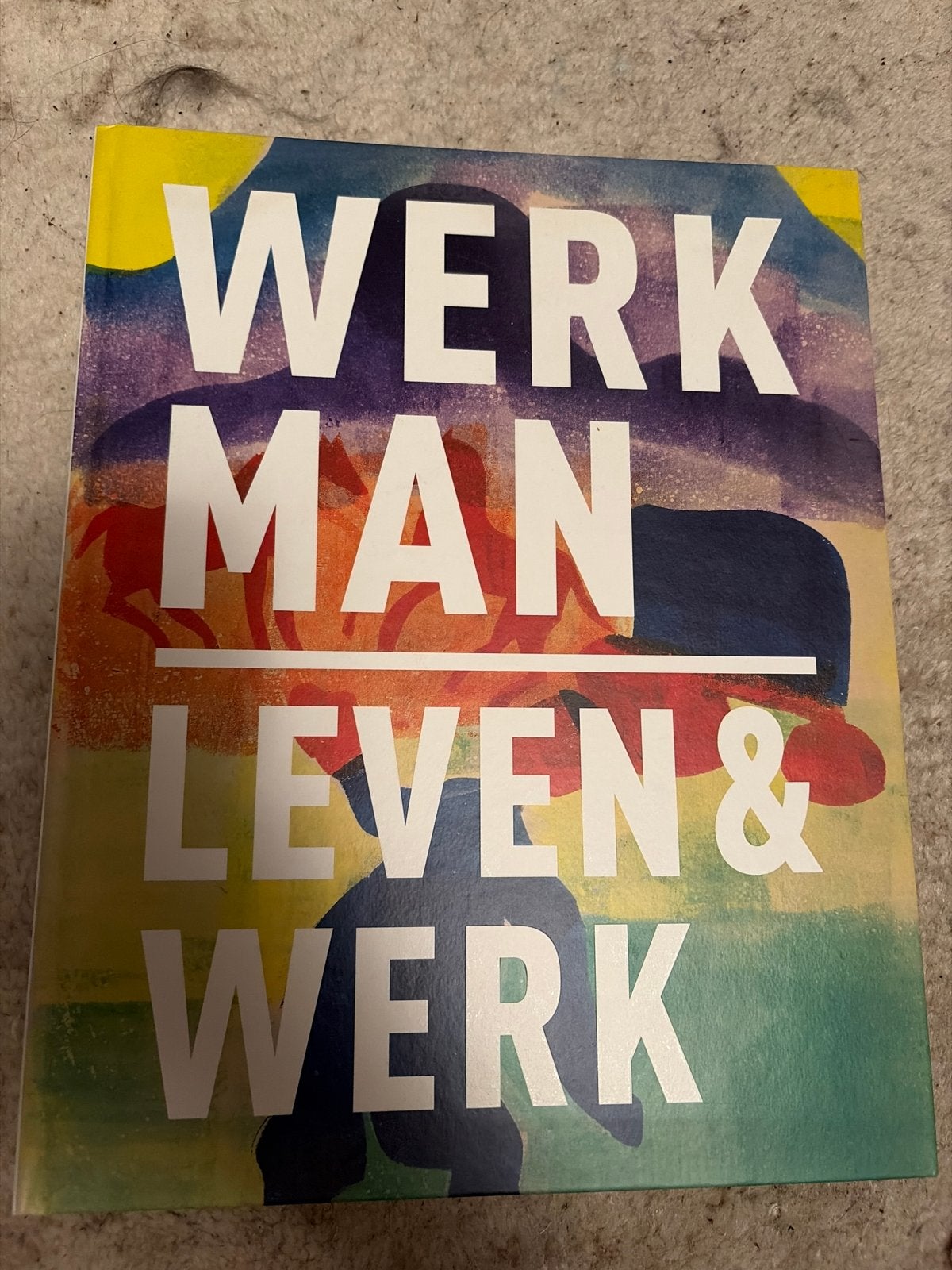 WERKMAN MAN LEVEN & WERK - H.N. Werkman 1882-1945, Ophalen of Verzenden, Zo goed als nieuw, Nederland