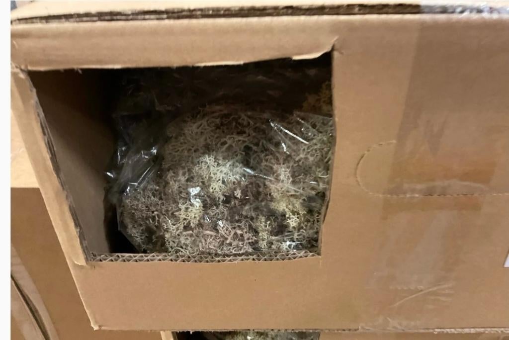Ijsland mos Naturel, Nieuw, Ophalen of Verzenden, Nvt, Nvt