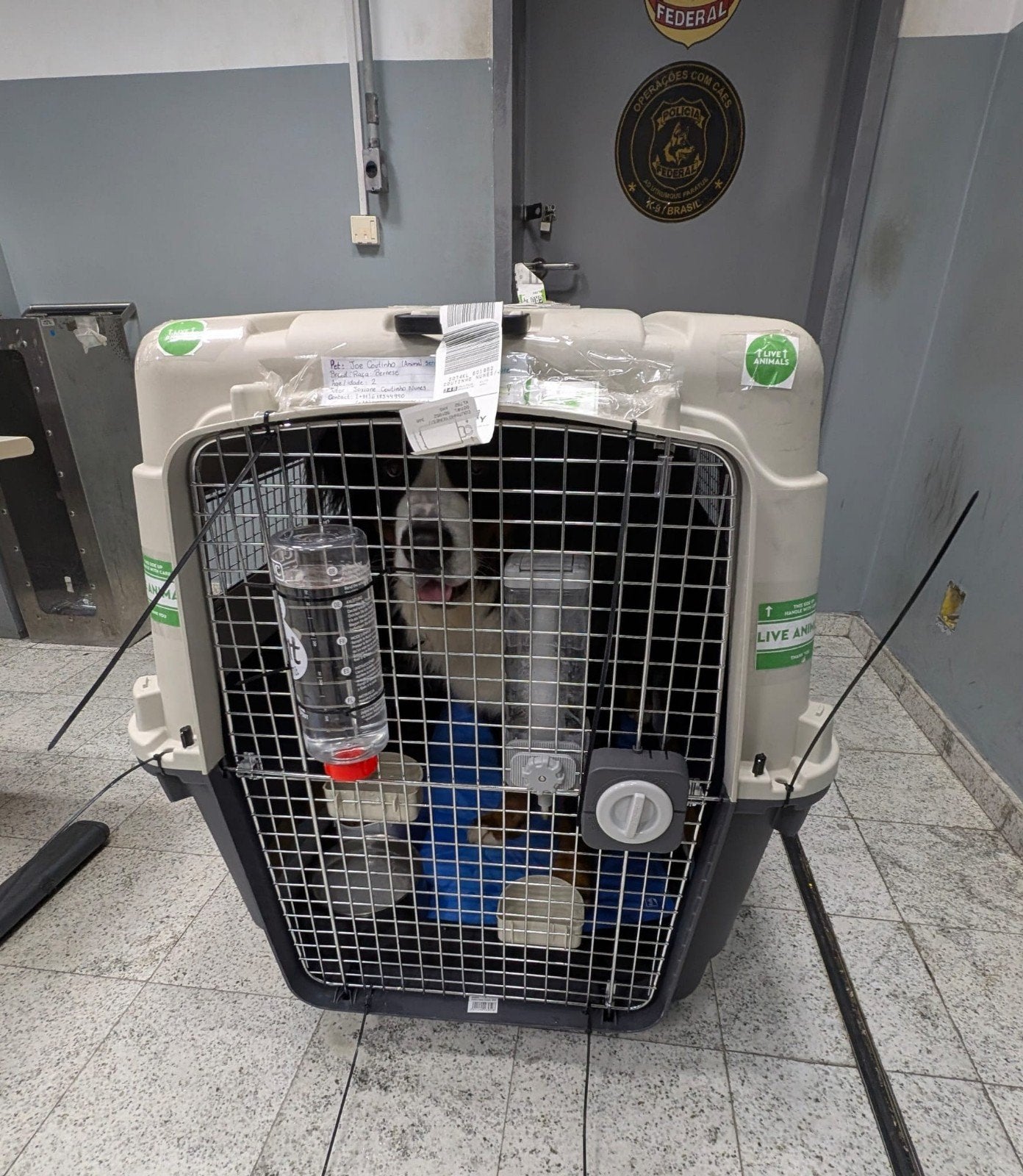 Flamingo Nomad XXXL honden cargo/reisbench
 IATA-goedgekeurd, Dieren en Toebehoren, Ophalen